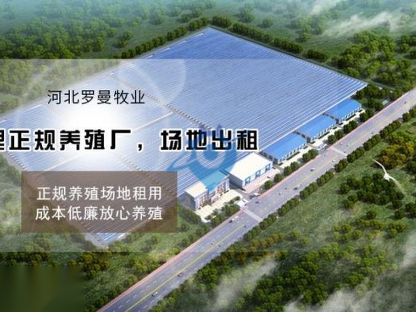 出租1000平米厂房2个，农业用电，可办理环评